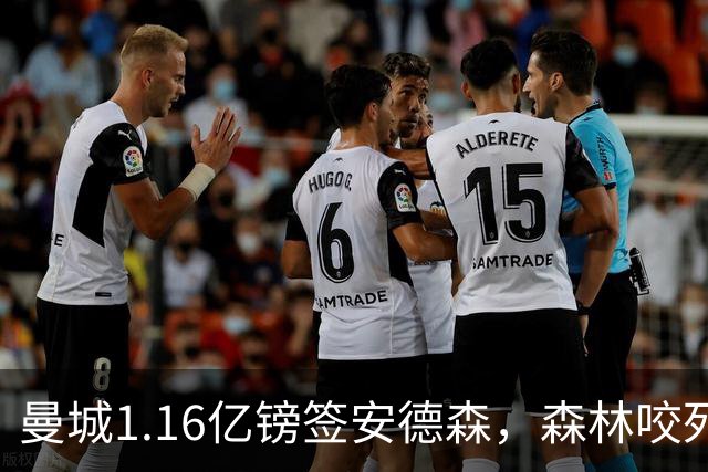 曼城1.16亿镑签安德森，森林咬死现金支付，创英球员转会纪录